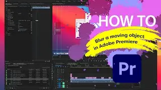 How to blur moving objects in Adobe® Premiere® Pro using Gaussian Blur Effect // Real life example