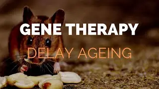 Gene Therapy Delay Ageing