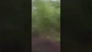 Thunderstorm hike