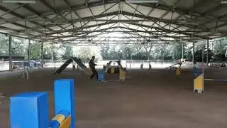 2019.06.08 -  Agility 2