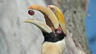 Zoocademy by T-Mobile -  Nature Exploration