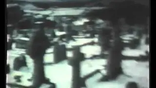 pacific - barnoon hill