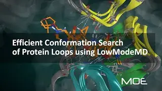 🆕 Efficient Conformation Search of Protein Loops using LowModeMD