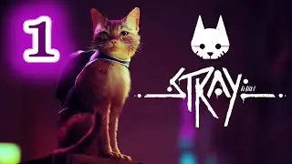 STRAY #1 | Bir Kedi Gördüm Sanki!