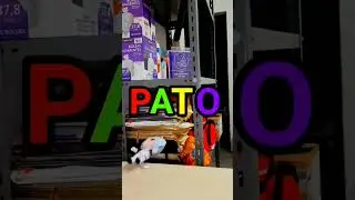 PATO :D 