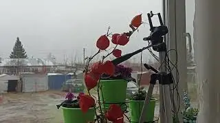 Я возмущена такой жизнью ,всё у нас есть и газ и дороги ,даже муж умелец.
