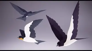 Low Poly Bird: Swallow (Stylized Character for Unreal Engine & Unity)