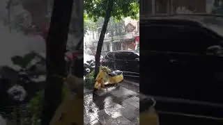 waouh il pleut énormément au Vietnam ce jour-là#photography #inattendu ##viralvideo #surprenant