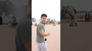 POV: your out of town friend visits Chicago 
