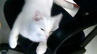 мой настоящий сервер аккаунт Tomix10
