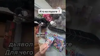КТО НА ПОРОГЕ ❓🎡😈|Иаро