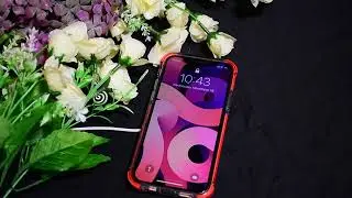 MATEPROX Compatible with iPhone 12 Pro Case and iPhone 12 Cases Clear Heavy Duty Protecttive
