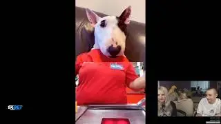 MODESTAL СМОТРЯТ ВИДОСЫ, ПОПРОБУЙ НЕ ЗАСМЕЯТЬСЯ