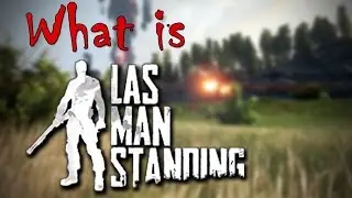 What is Last Man Standing (Free to play battlegrounds Steam Game) - General Overview
