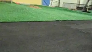 DT Race