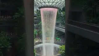 প্রতিদিন কেটে জায় #foryou #video