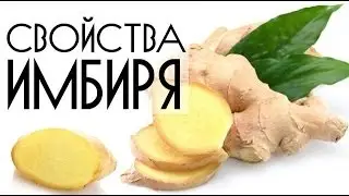 Полезные свойства имбиря для похудения