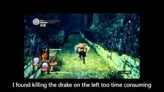 DARK SOULS Low Level Drake Farming Guide