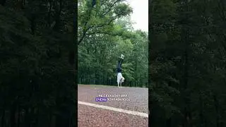 НОВАЯ ПРИВЫЧКА 