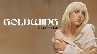 Billie Eilish - GOLDWING [Full HD] lyrics
