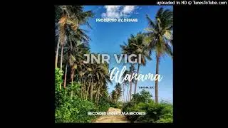 Jnr Vigi - 'Alanama (2021)