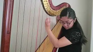 Uno Vesje~Footsteps in an Empty Room (Tango Harp)