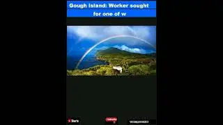 Gough Island: Worker sought for one of world's remotest places|
