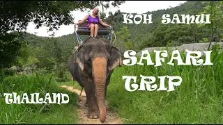 Thailand, Koh Samui, Jeep Safari Trip / Elephant show, Magic Buddha Garden,  Namuang waterfall