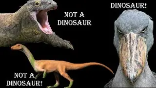 Are birds dinosaurs? Part 1/9: What are dinosaurs?