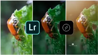 How to add light to a moodygrams photo using lightroom and lens distortion | 16 August 2020
