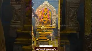 ಭಂಡಾರದ ಒಡೆಯ ಮೈಲಾರಲಿಂಗೇಶ್ವರ ಸ್ವಾಮಿ | ಶ್ರೀ ಮೈಲಾರಲಿಂಗೇಶ್ವರ ಗಂಗೆಮಾಳಮ್ಮ ಕೆ. ಆರ್. ಪೇಟೆ ತಾಲೂಕು ಮಂಡ್ಯ ಜಿಲ್ಲೆ