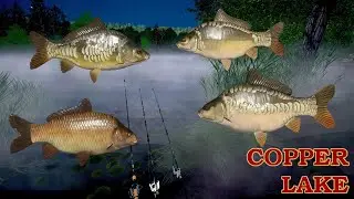 Silver record  No PVA ? Dinks Carp & F1 Copper Lake | Russian Fishing 4