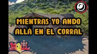 MI JACAL KARAOKE.                           BANDA MÓVIL