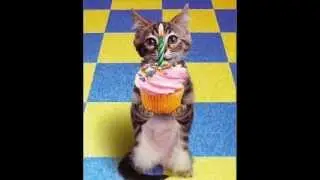Happy Birthday  ELI
