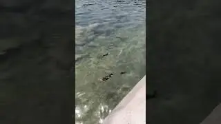 Швецария⚓Люцерн