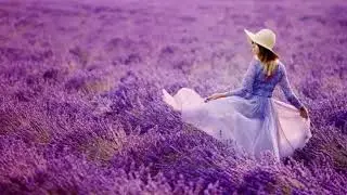 Purple Dreams ~ Relax Music