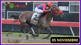 ✅RESUMEN 📽 martes 05 NOVIEMBRE 2024, carreras caballos🏇 en el V Centenario💰