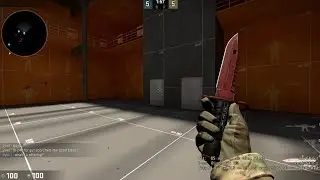 CS:GO~ M9 Bayonet Crimson Web