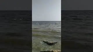 Черное море 3 октября 2023 года погода поменялась южный ветер