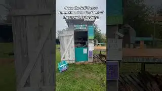 Running a bakery out of a outhouse 🥰 