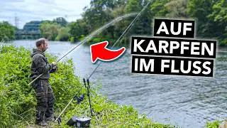 Karpfenangeln am Fluss für Anfänger 🎣 Alles, was du wissen musst (mit Robin Illner)