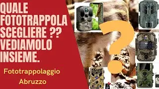 Which camera trap to choose, which camera trap to buy to start with camera trapping?