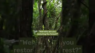 Why are you restoring the forest?