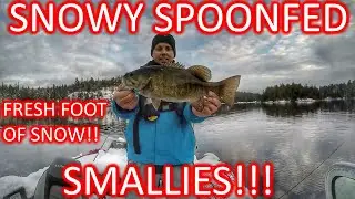 How to catch bass with jigging spoon!