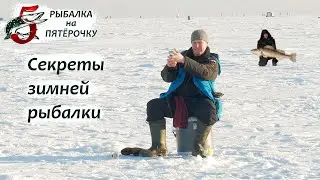 Секреты зимней рыбалки. Дриблинг