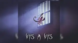 CECILIA KRULL - AGNUS DEI VIS A VIS ( WAVE/PHONK de$$court REMIX)