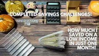 How Much I Saved on a Low Income in Just One Month!