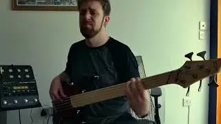 Shuffler! Dingwall Combustion and Chapman Stick groove