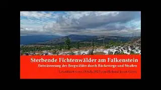 Austrocknende Bergwälder durch Wegebau