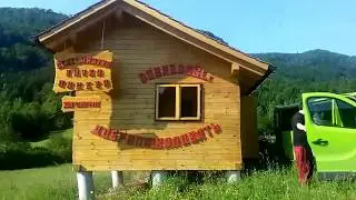 Словенская пасека! Пересаживаем молодые семьи.